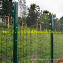 Black and Green Powder Coated High Security Anti Climb Welded 358 Mesh Fence.